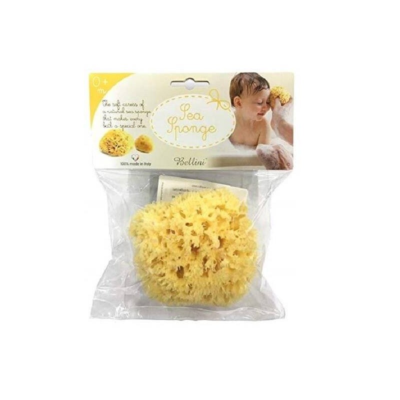 Naturel marine sponge