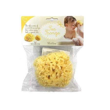Naturel marine sponge