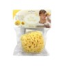 Naturel marine sponge