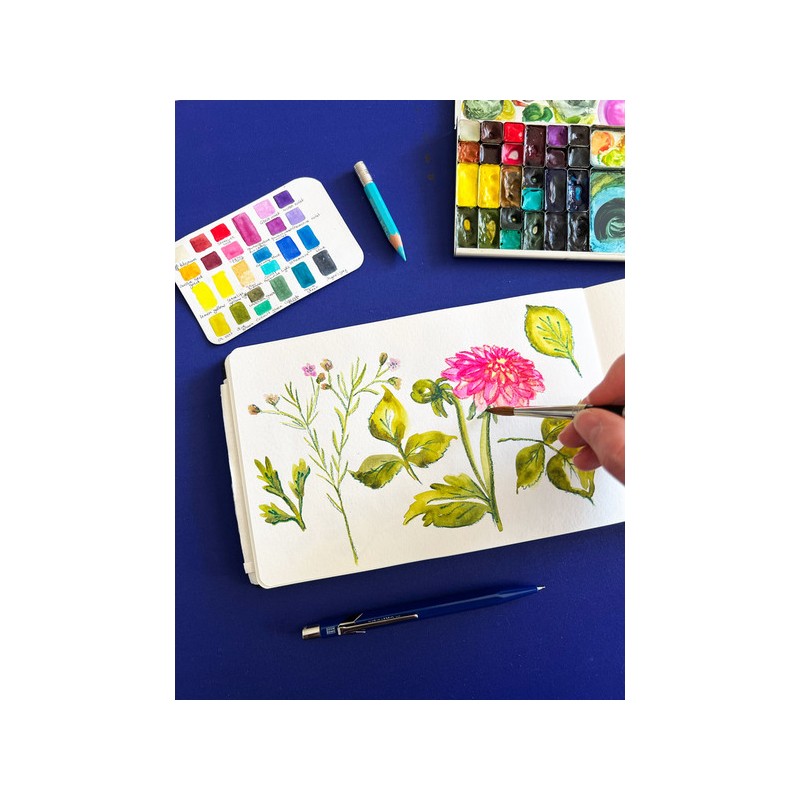 Atelier Aquarelle Adulte / Enfant